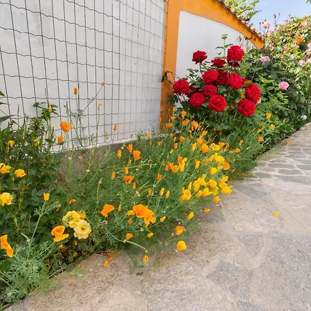 Guest house Rosen Lozenets
